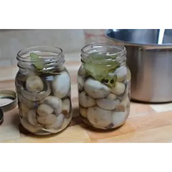 Fresh Mushroom Pickle Manufacturer, Exporter, Retailer, Trader, and Distributor